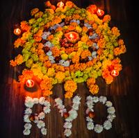 Diwali Celebrations - Oct 2016